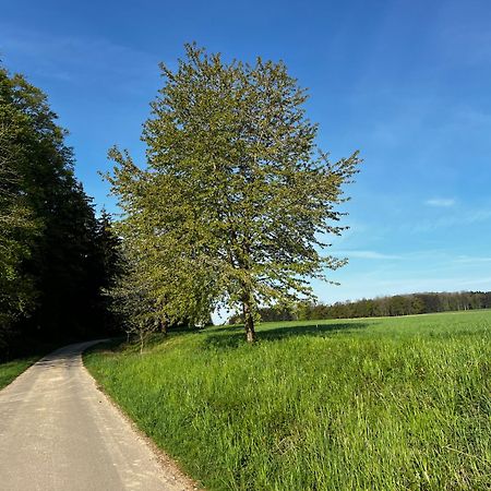 Klosterberghaus - Kontaktloser Check-In Elchingen Exteriör bild
