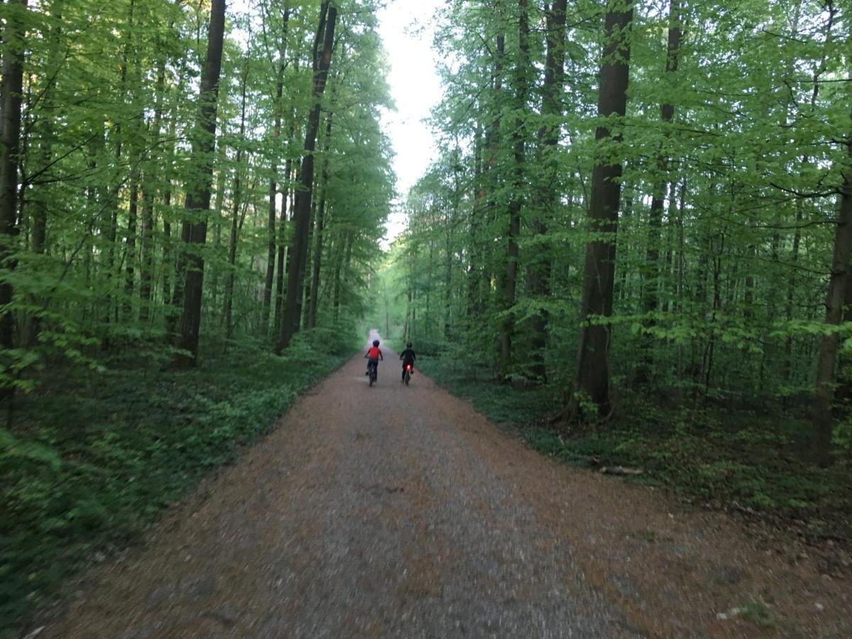 Klosterberghaus - Kontaktloser Check-In Elchingen Exteriör bild